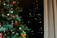 Remnants of a belated Christmas