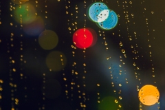 Rain drops and the light
