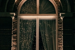 Stardust