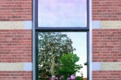 The window