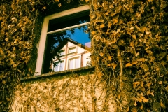 House within a house