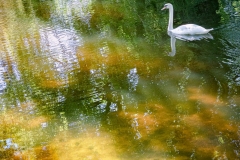 Gliding by